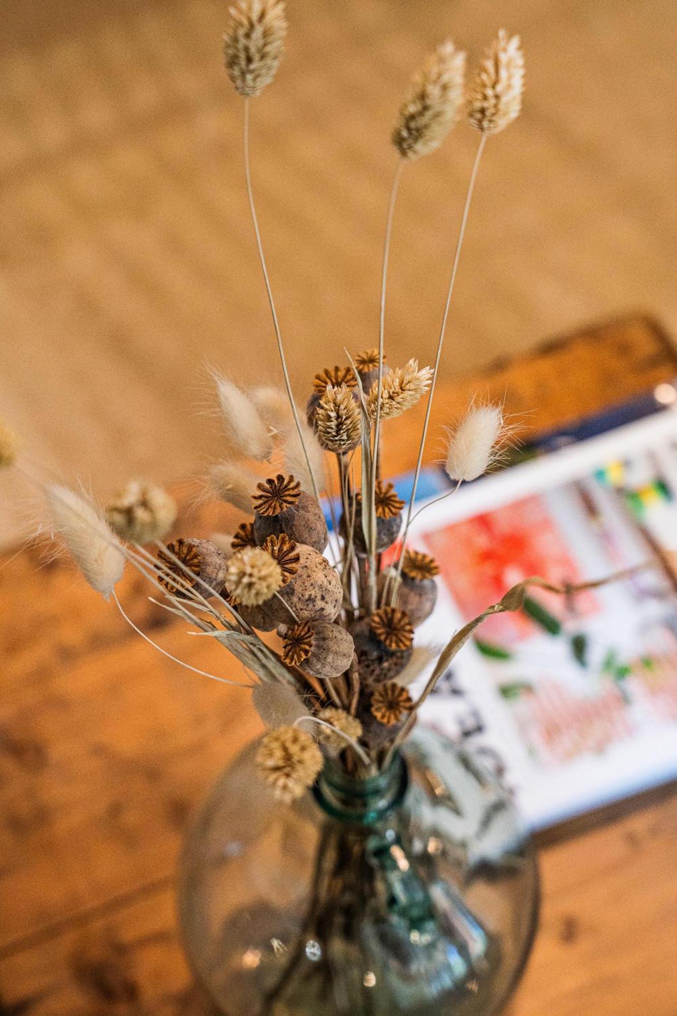 Maison Arthur Bed & Breakfast Aigues-Mortes